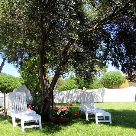 Apartment Tolle Solevacanze Mit Terrasse